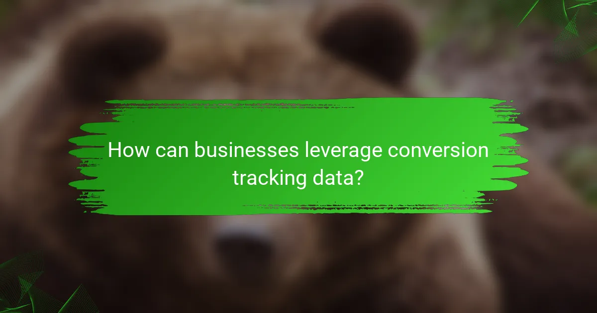 How can businesses leverage conversion tracking data?