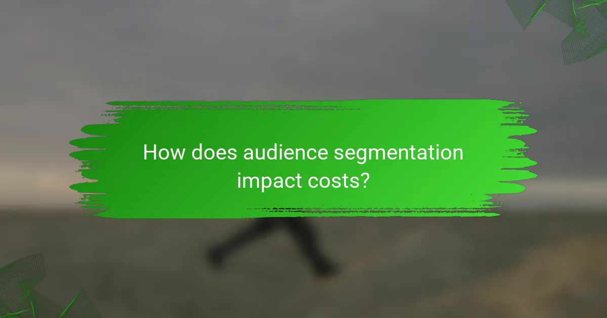 How does audience segmentation impact costs?