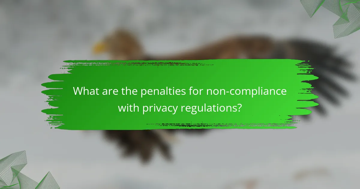 What are the penalties for non-compliance with privacy regulations?